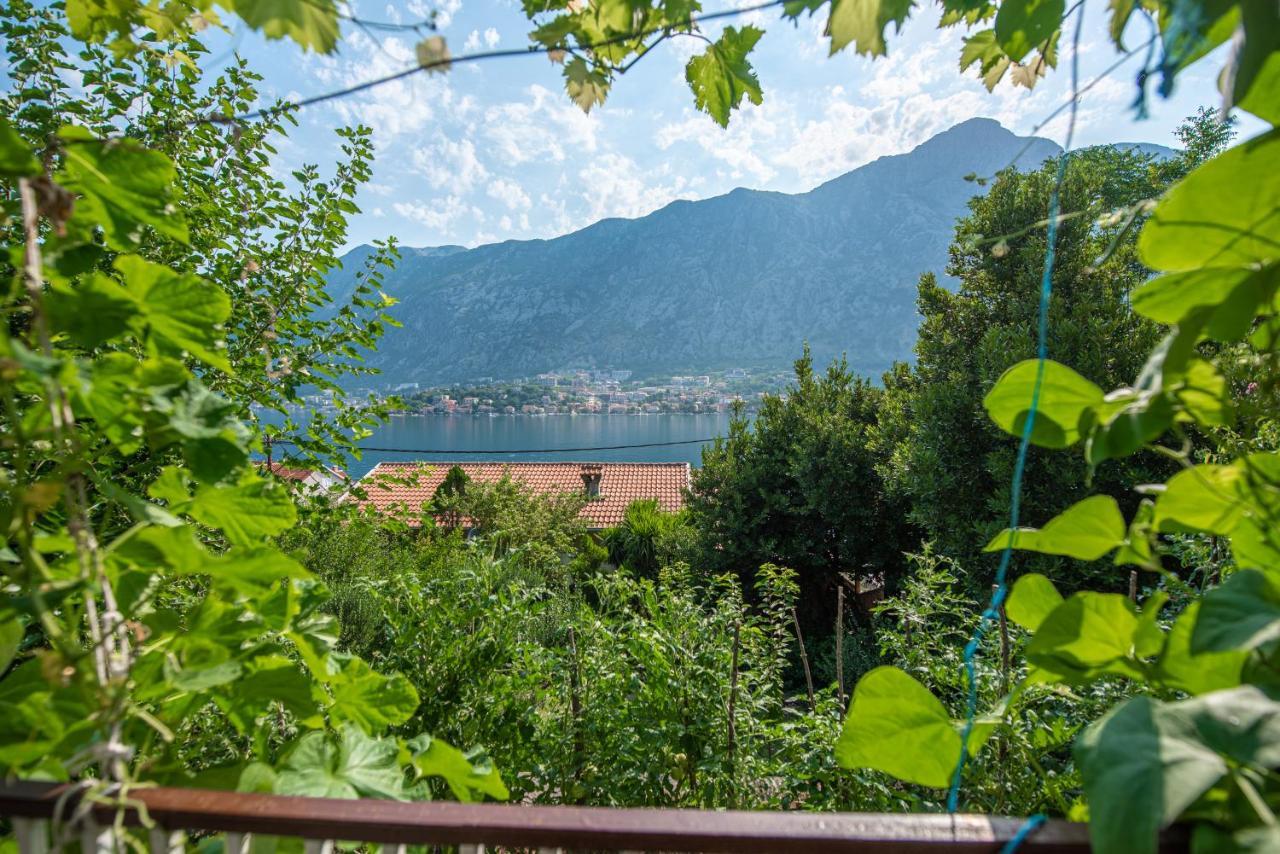 Apartamento Barbara101 Kotor Exterior foto